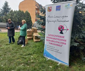 Posadzili żonkile w Lesznie. Dziś Europejski Dzień Walki z Rakiem Piersi