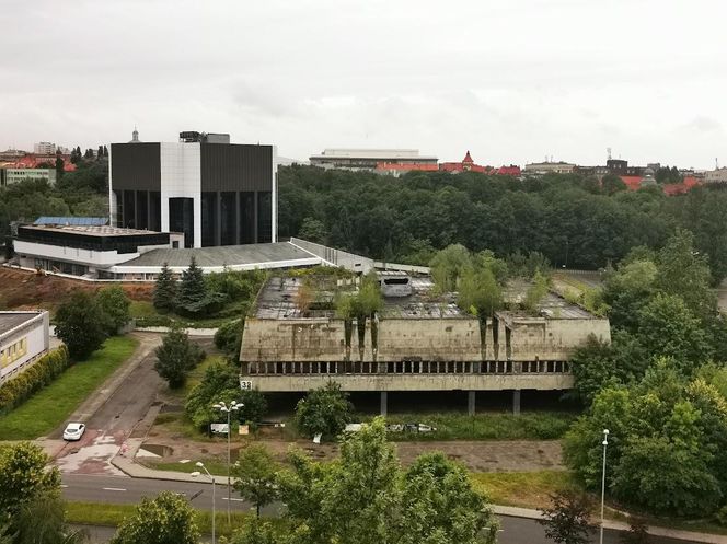Żelbet, ale i finezja, rośliny, element zaskoczenia. Architektura brutalistyczna