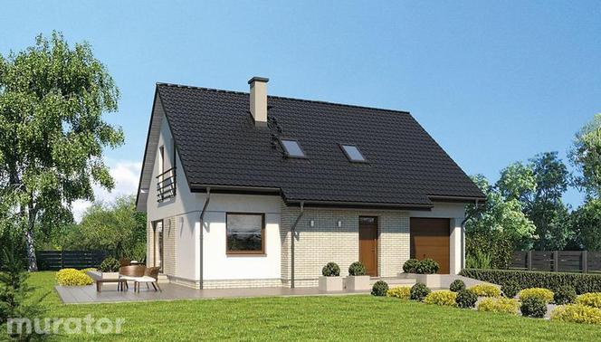 Projekt Poranny spacer