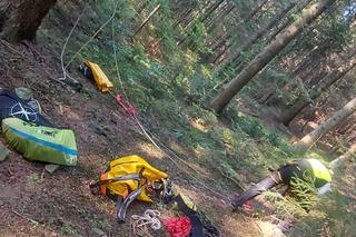 Przez 1,5 godziny wisiała na drzewie i nie mogła zejść. Kobiecie pomogli goprowcy