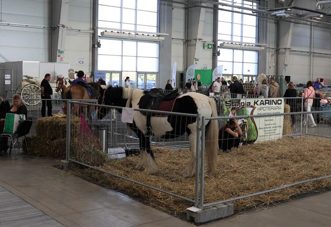 ZooPark ponownie przyciągnął do Targów Lublin tłumy miłośników zwierząt