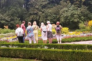 Lato w Lublinie pełne atrakcji dla seniorów