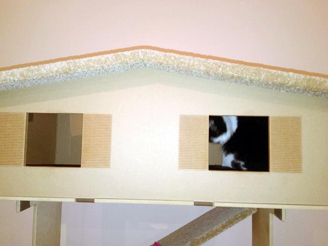 Katowice: Pierwsza na Śląsku Kocia Kawiarnia działa już trzy tygodnie! [ZDJĘCIA]