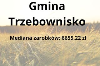 W tych gminach na Podkarpaciu zarabia się najwięcej 