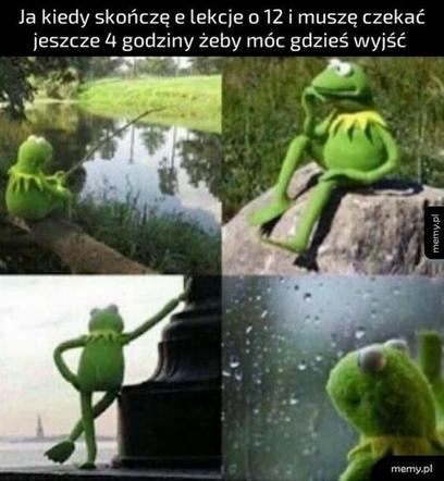 nauka zdalna - memy