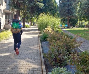 Ogród sensoryczno- naukowy przy SP nr 10 w Zamościu