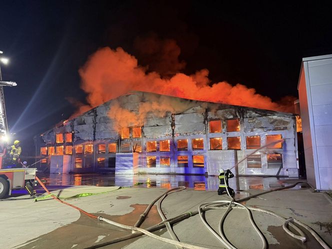 Ogromny pożar fermy drobiu w Fałkowicach. W ogniu mogło zginąć nawet 130 tysięcy kur