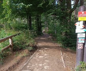 Babia Góra zamknięta. Szlaki zamknął Babiogórski Park Narodowy do odwołania 