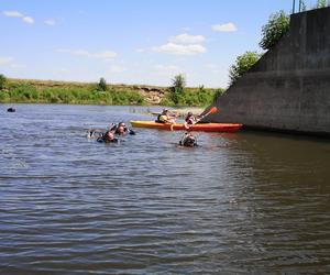 Posprzątali Narew w Łomży! Co płetwonurkowie wyłowili z rzeki? [FOTO]