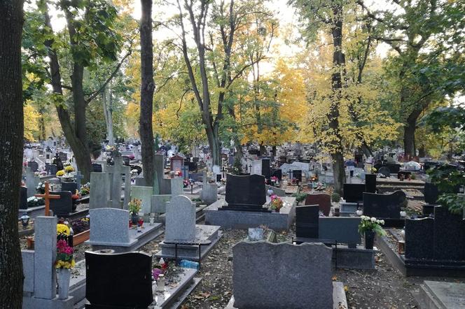 Ruszyła wirtualna kwesta na renowację zabytkowych nagrobków w Toruniu