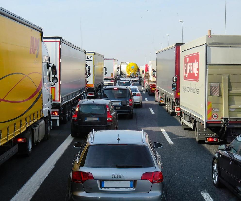 Od kilku dni paraliżują autostradę. 300 aktywistów klimatycznych żąda zmian