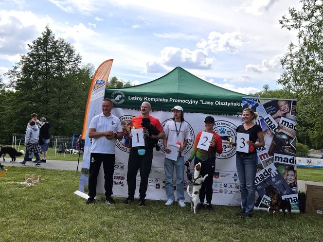 Festiwal Przyjaciół Zwierząt w Olsztynie. Park Centralny opanowały radosne pieski