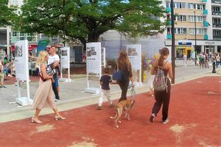 Otwarcie alei Wojska Polskiego