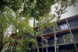 Villa Reden w Chorzowie