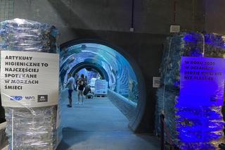 Nietypowa instalacja w łódzkim zoo. Chodzi o zwrócenie uwagi na problem