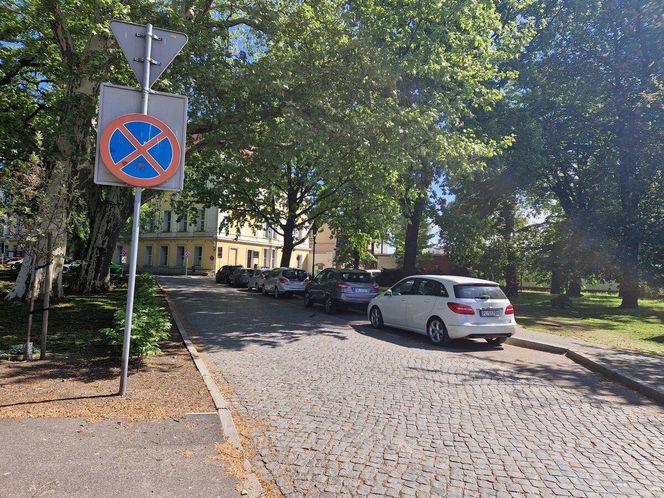 Wojewódzkie Obchody Dnia Strażaka w Lesznie. Uroczystość, atrakcje i utrudnienia w ruchu