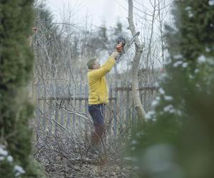Jarosław Sachajko. Poseł walczy z kretem