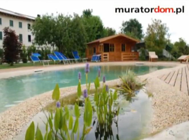 Basen ogrodowy z żywicy i kruszywa - zobacz, jak go zbudować