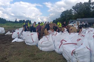 Zły stan wałów na Żuławach. „Są jak gąbka”