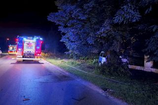 Śmiertelny wypadek pod Radomskiem. 42-latek nie żyje. Jego bus spłonął [ZDJĘCIA].