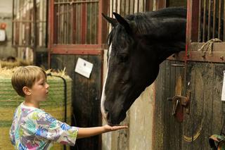 M jak miłość odc. 1771. Szymek (Staś Szczypiński)