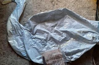 Balon z listem przeleciał niemal tysiąc kilometrów. Niezwykłe odkrycie w lesie [ZDJĘCIA]