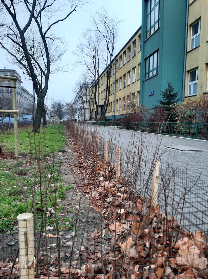 Tak zmienia się Praga-Północ