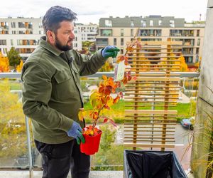 Jesienna metamorfoza balkonu