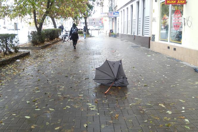 Czy 1 listopada będą nam potrzebne we Wrocławiu (solidne) parasolki?