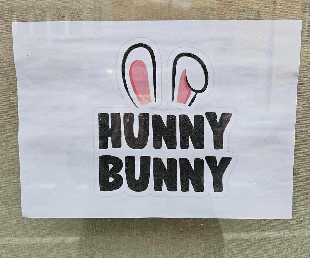 Królicza kawiarnia Hunny Bunny powstanie w Rzeszowie. Będzie limit wiekowy? 