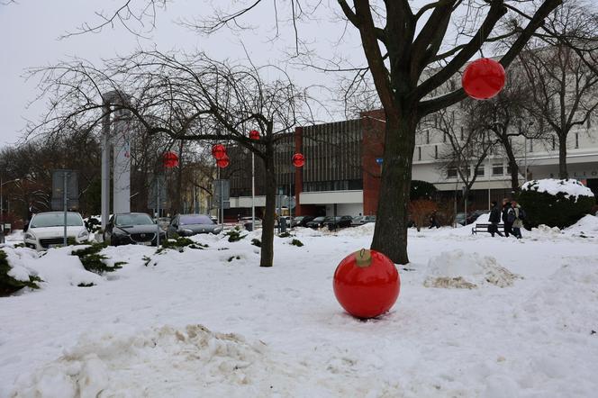 NA UMCS-ie w Lublinie zrobiło się świątecznie! 