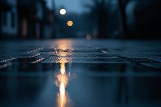 Agresywne psy terroryzowały Rdzawkę. Czy to koniec koszmaru mieszkańców?