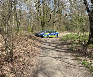 Strzały na odcinku A4! Pijany kierowca staranował radiowóz