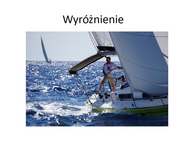Wyróżnienie - Piotr Smulski