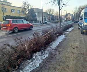 Wypadek w centrum Bydgoszczy. Kobieta trafiła do szpitala