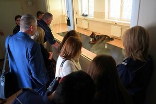 Nietypowi goście bydgoskich policjantów. Spotkanie pozwoliło na wymianę doświadczeń