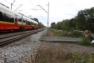 PKP chce odgrodzić rezerwat od osiedla. Mieszkańcy Olszynki Grochowskiej nie odpuszczają. Trwa wojna o przejście!