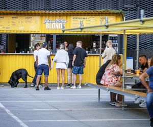 KATO Centrum 2025. Koncert HERtz  na tarasach Spodka
