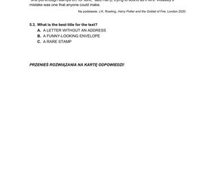 Matura 2025 - angielski.