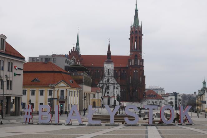 W Białymstoku staną figurki misiów. Trwa konkurs rzeźbiarski