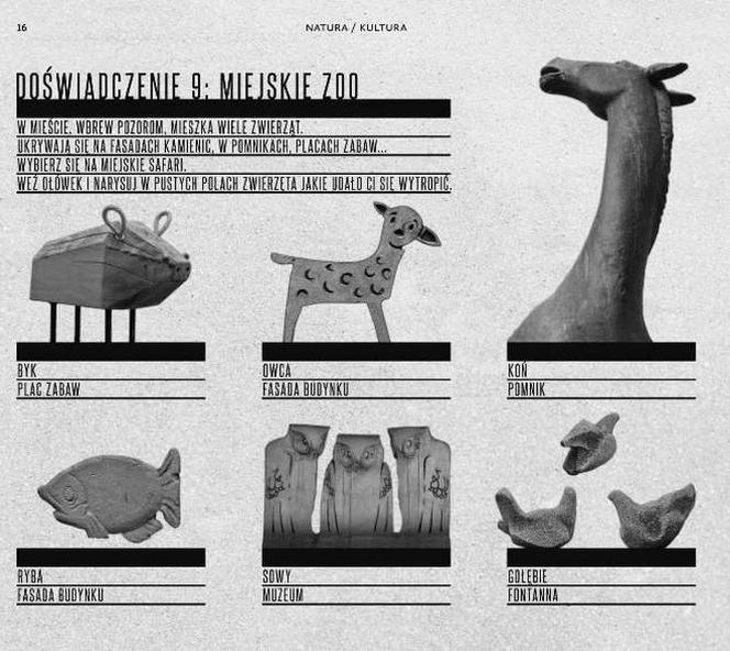 Przewodnik po architekturze codziennej