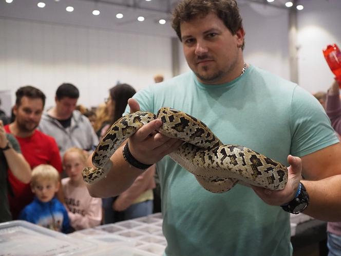 Egzotyczne zwierzęta powracają do Hali Expo! Zobaczycie je już w marcu