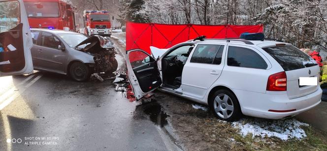 Tragiczny wypadek pod Lesznem, nie żyje roczne dziecko