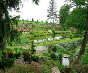 Arboretum Wojsławice - zdjęcia. Kiedy jechać?