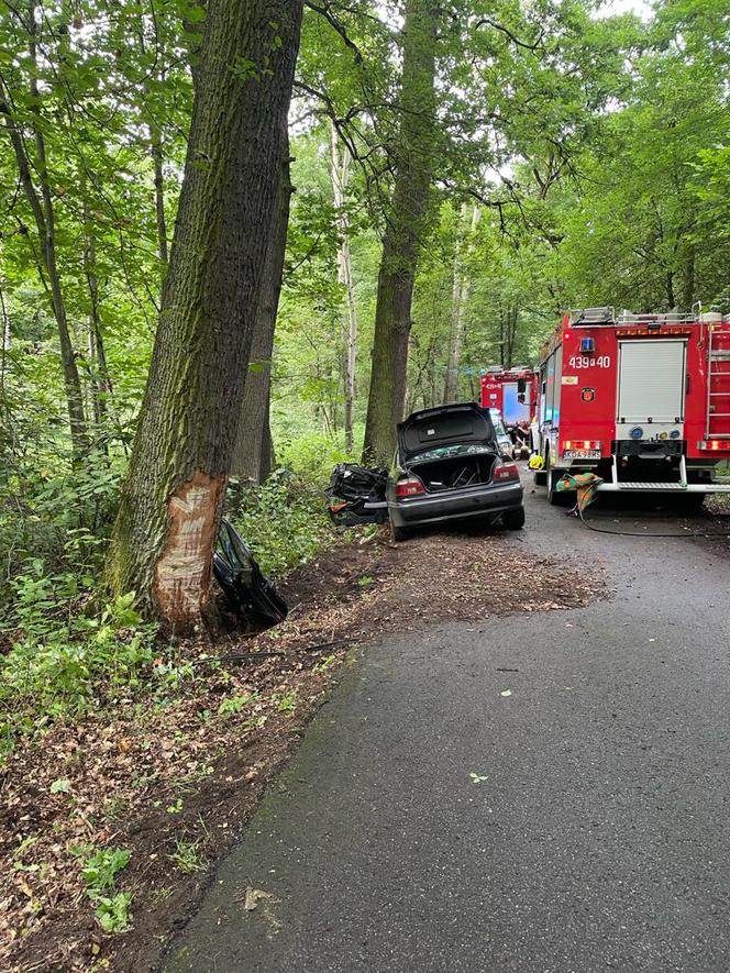Dąbrowica: Bmw uderzyło w drzewo. 18-latek zakleszczony w pojeździe