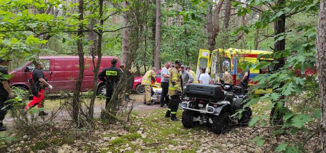Osiedle Wilga. Zaginiona 67-latka przeżyła w lesie 5 dni! Nawet policjanci nie dowierzali [ZDJĘCIA]