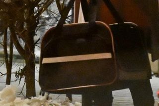 Kinga Duda zawiozła kota do weterynarza