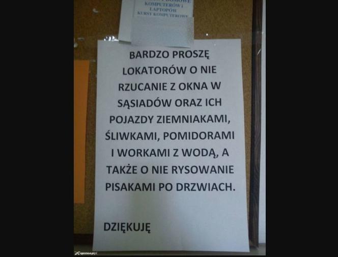 Oto najlepsze ogłoszenia z klatek schodowych!