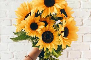 Szczęśliwe kwiaty na Dzień Kobiet