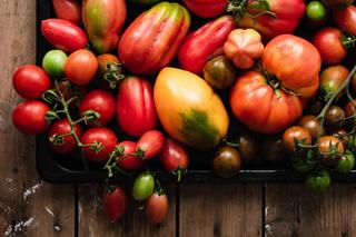 Dlaczego pomidory nie dojrzewają w całości? Żółta piętka oznacza brak tego składnika. Oto prosty domowy sposób na dorodne i dojrzałe pomidory